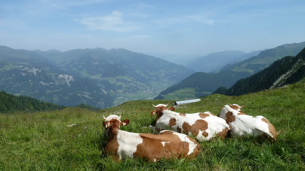 Kor vandring Zillerdalen © Austria Travel - Rusner