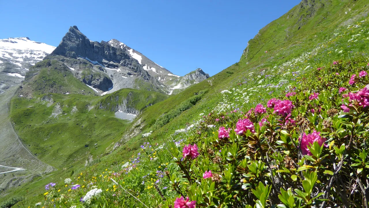 vandringsresa guide Zillertal © Austria Travel - Rusner Semester i Österrike
