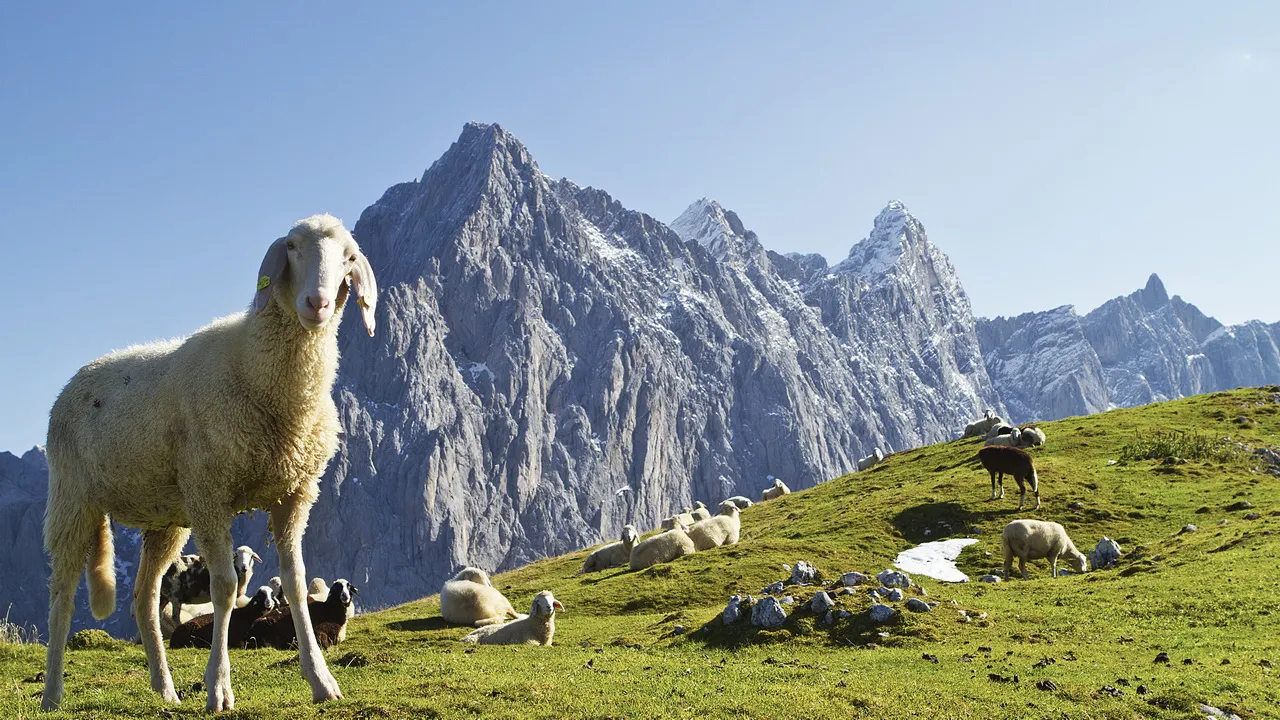 Dachstein trailrunning vandring