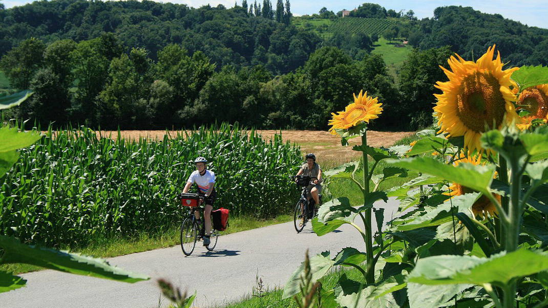 Cykla i Steiermarks vulkanregion Semester i Österrike