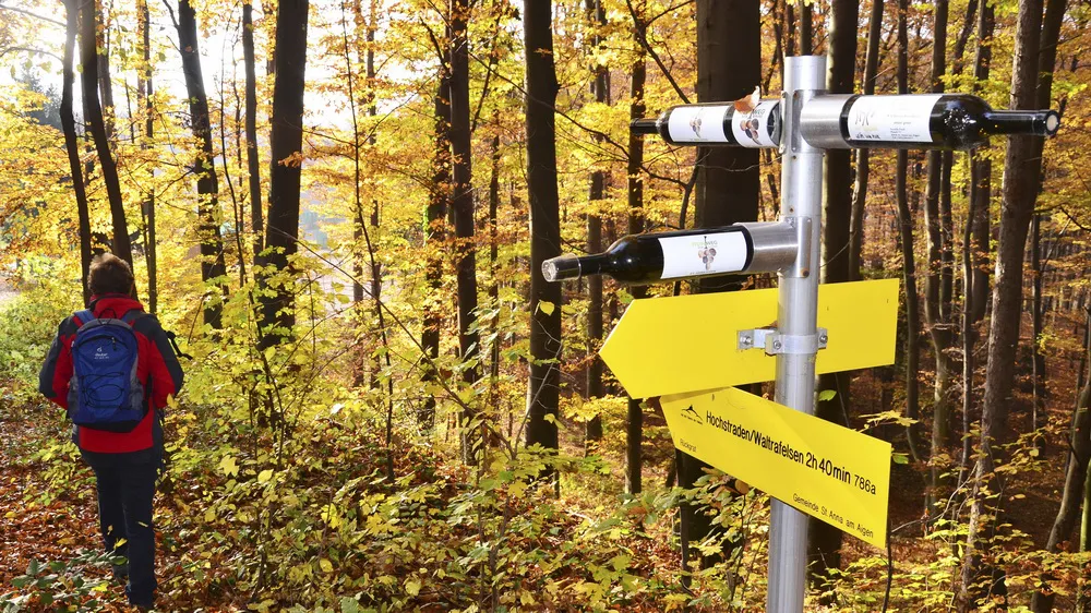 Vandring St. Anna am Aigen Steiermark Semester i Österrike