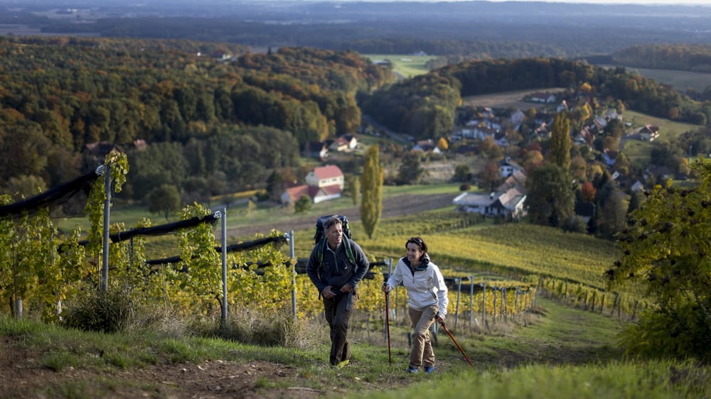 Vandring mellan viner och vulkansten - Klöch - Semester i Österrike med Austria Travel