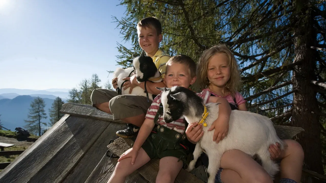 Barn med getter Lungau Österrike-Austria Travel