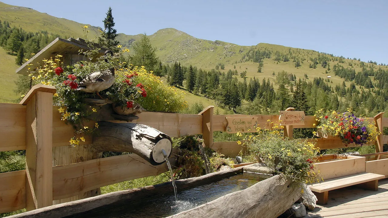 Kareck Pritzhütte Österrike-Austria Travel