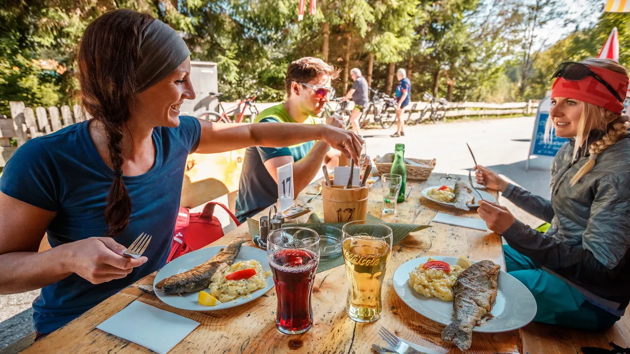 MTB paus KAT-Bike-Trail Kitzbühel Austria Travel