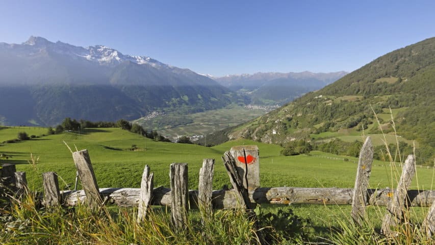 Gröna ängar Vinschger Höhenweg - Alta Via Val Venosta