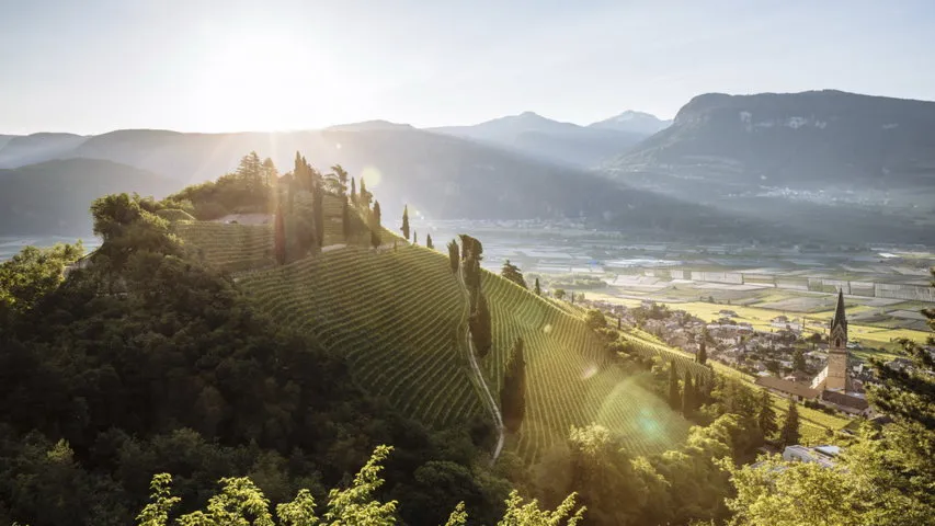 Vandring vingårdar slott Sydtyrolen