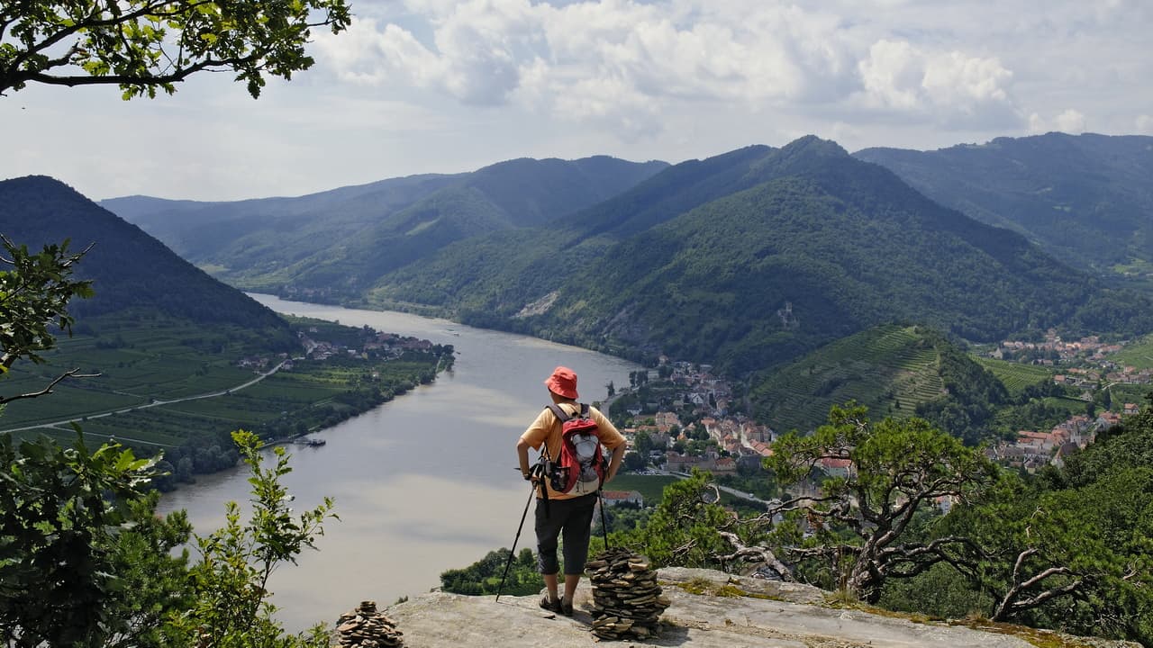 Vandring i Wachau vid Spitz Donau World Heritage Trail Welterbesteig