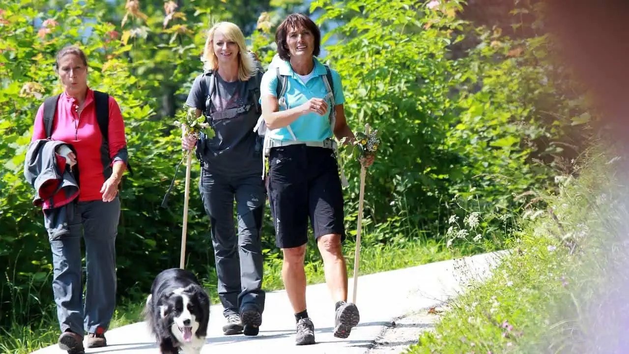 Pilgrimer på vandring till Mariazell