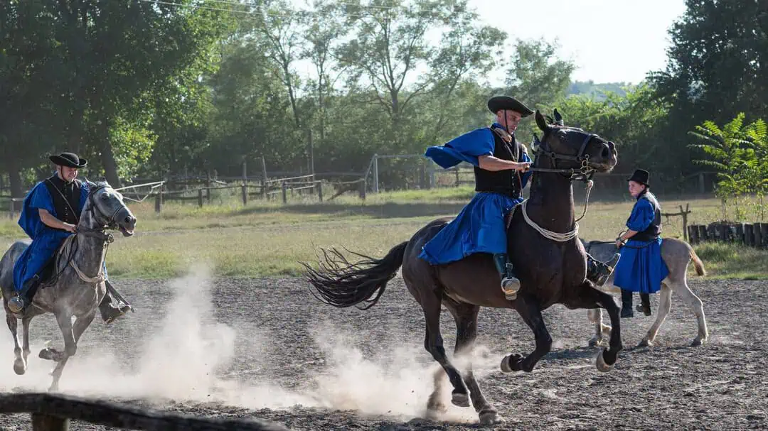 Riduppvisning på ungerska pusztan